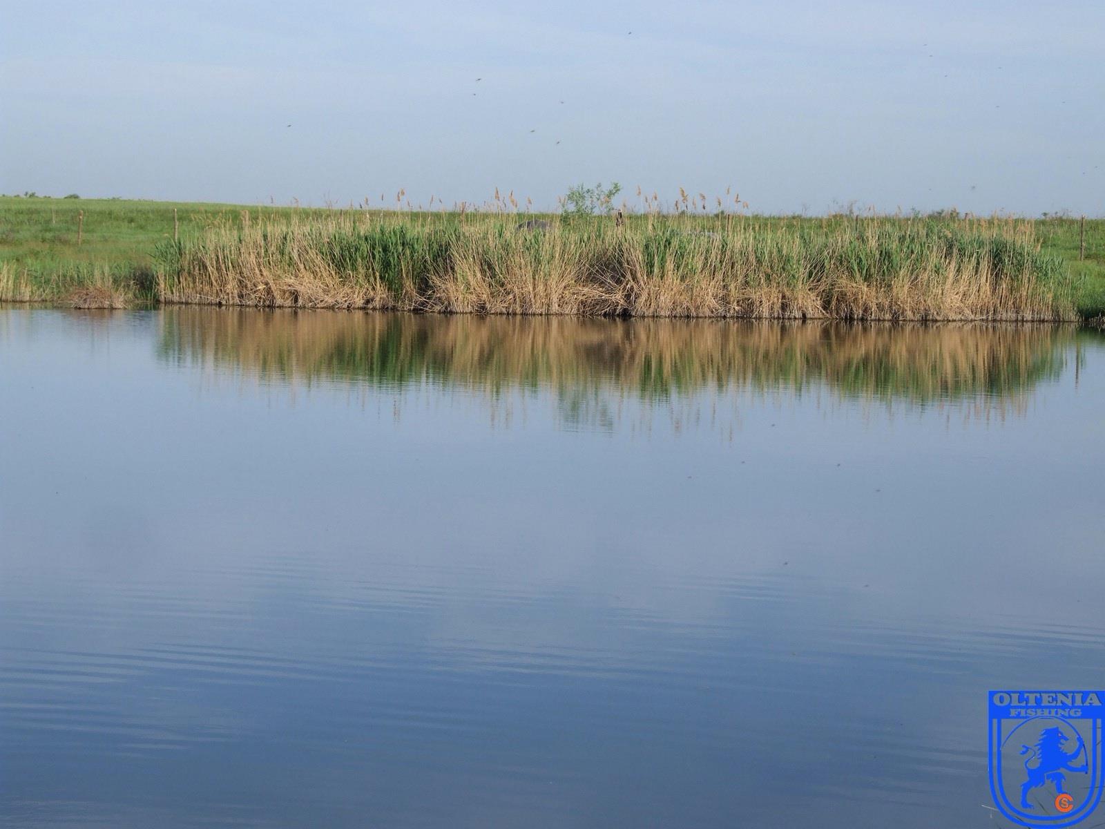 2013 - 2 - image111111111111111111111.jpg